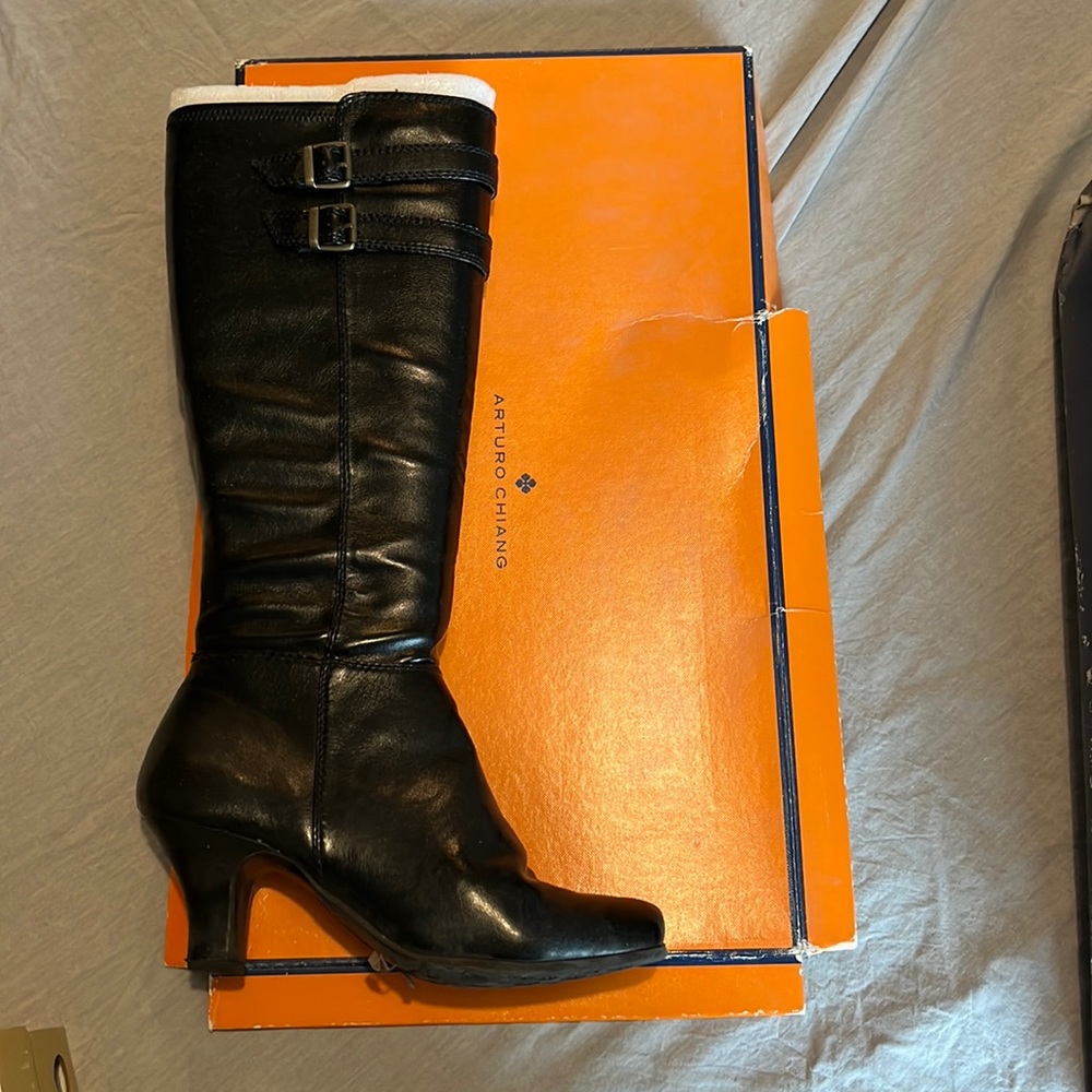 arturo chiang boots